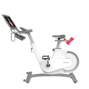 Купить Велотренажер Yesoul BV1-W PLUS в Шацке 